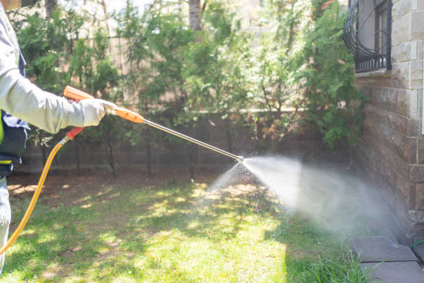 Emergency Pest Control Services in King City, OR